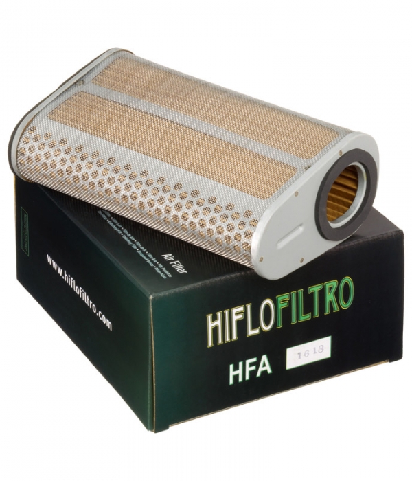 FILTROO DE AIRE HIFOFILTRO HFA1618